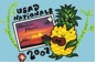 Official Logo of the 2007 USAD National Finals